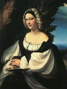 CORNELISZ VAN OOSTSANEN, Jacob Portrait of a Gentlewoman df oil painting on canvas